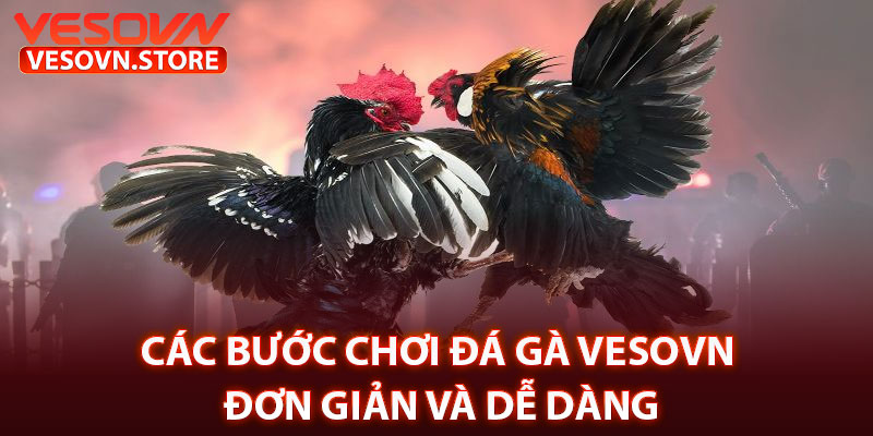 Các Bước Chơi Đá Gà Vesovn Đơn Giản Và Dễ Dàng