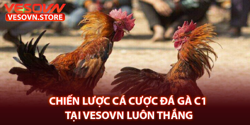 Chiến Lược Cá Cược Đá Gà C1 Tại Vesovn Luôn Thắng