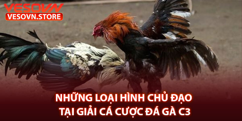 Những Loại Hình Chủ Đạo Tại Giải Cá Cược Đá Gà C3