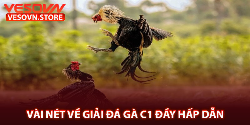 Vài Nét Về Giải Đá Gà C1 Đầy Hấp Dẫn